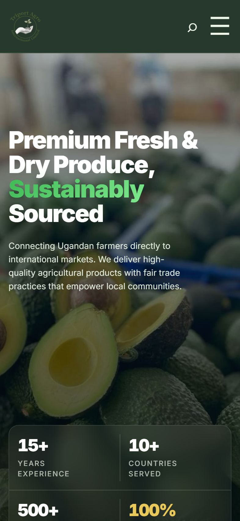 Triport Agro International website on iPhone